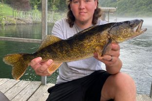 Fish - Walleye off our Private Lighted Dock
